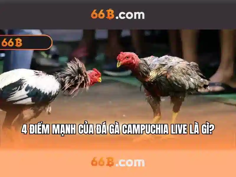 💎casino online hb88💎 💎casino online hb88💎