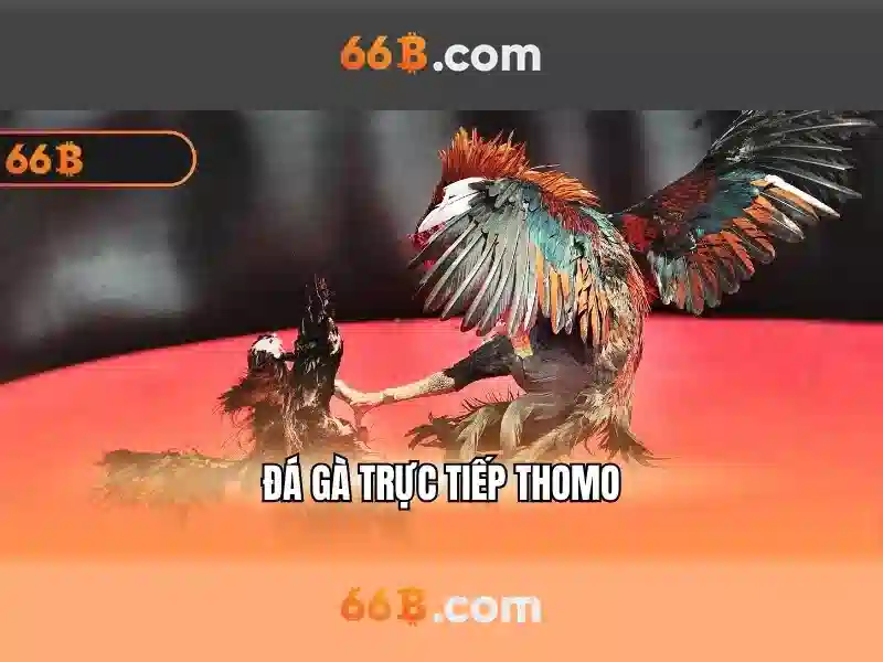 Game Bài 66B Mỗi Ngày: Chương Trình Hoàn Trả Cược Hấp Dẫn - 66B Game Bài 66B Mỗi Ngày: Chương Trình Hoàn Trả Cược Hấp Dẫn - 66B