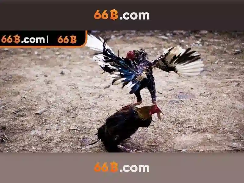 💎888 slot slot hlv💎 💎888 slot slot hlv💎