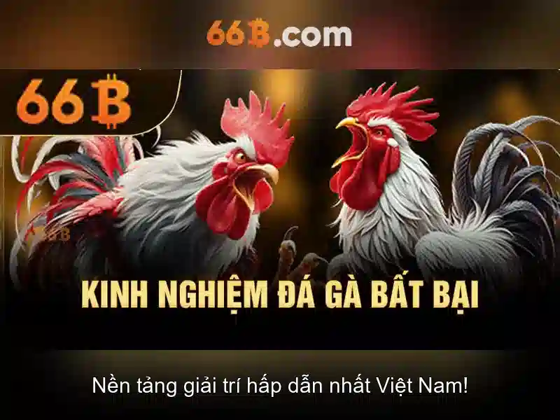 💎fb xn88💎 💎fb xn88💎